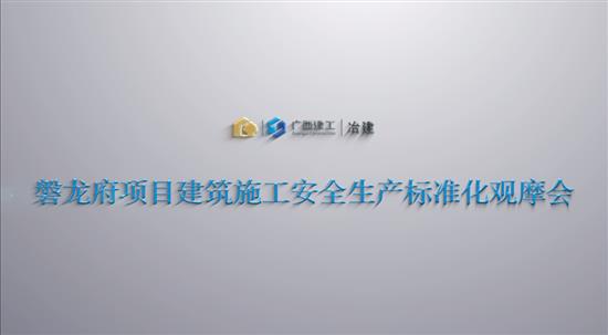 冶建公司磐龍府項目建筑施工安全生產(chǎn)標(biāo)準(zhǔn)化觀摩會